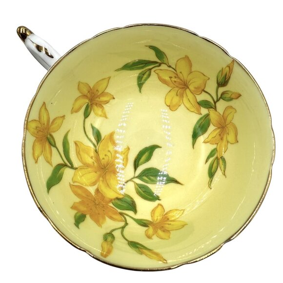 Paragon Double Warrent Yellow Forsythia Flowers Floral Tea Cup & Saucer - Picture 4 of 14